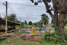 Wat Tham Suea Dao011